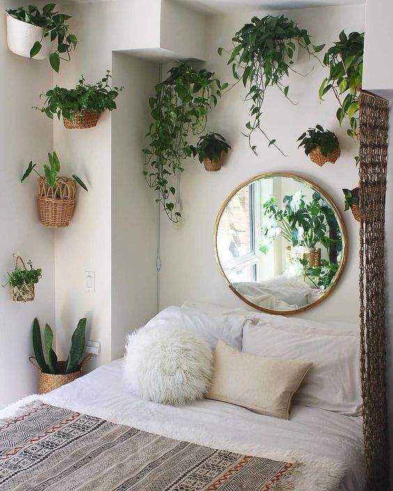 Find Amazing Indoor Hanging Plants For Bedroom Ideas And Smart Tips