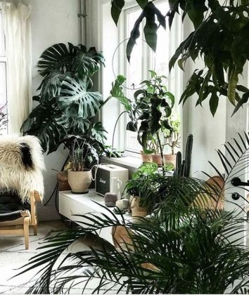 FIND: 15 Incredible Indoor Plants Decor Ideas | Simdreamhomes